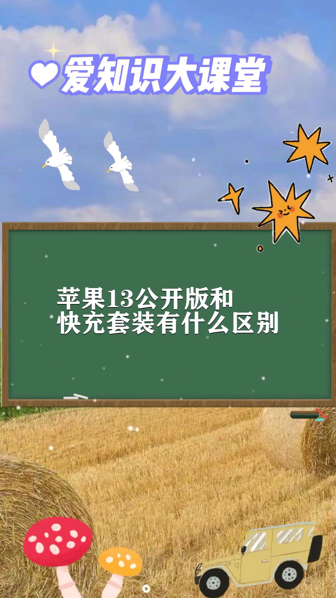 苹果max公开版和移动版苹果手机公开版和国行有什么区别
