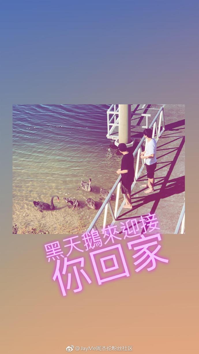 jayme下载苹果版joiplay下载官网