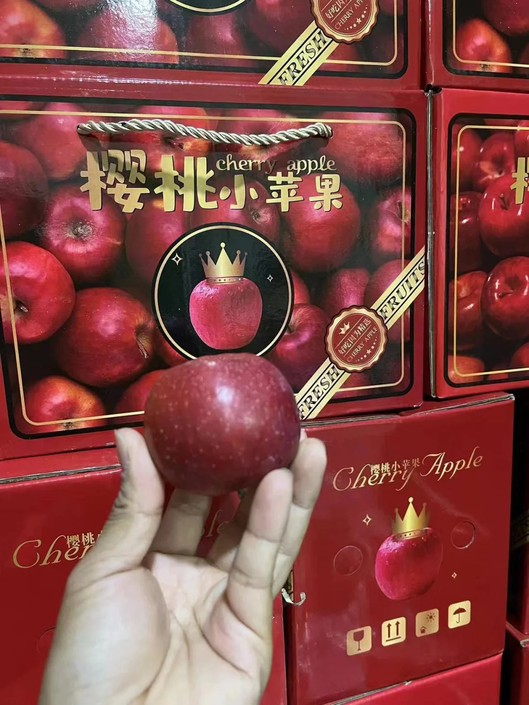 火爆版小苹果筷子兄弟小苹果dj