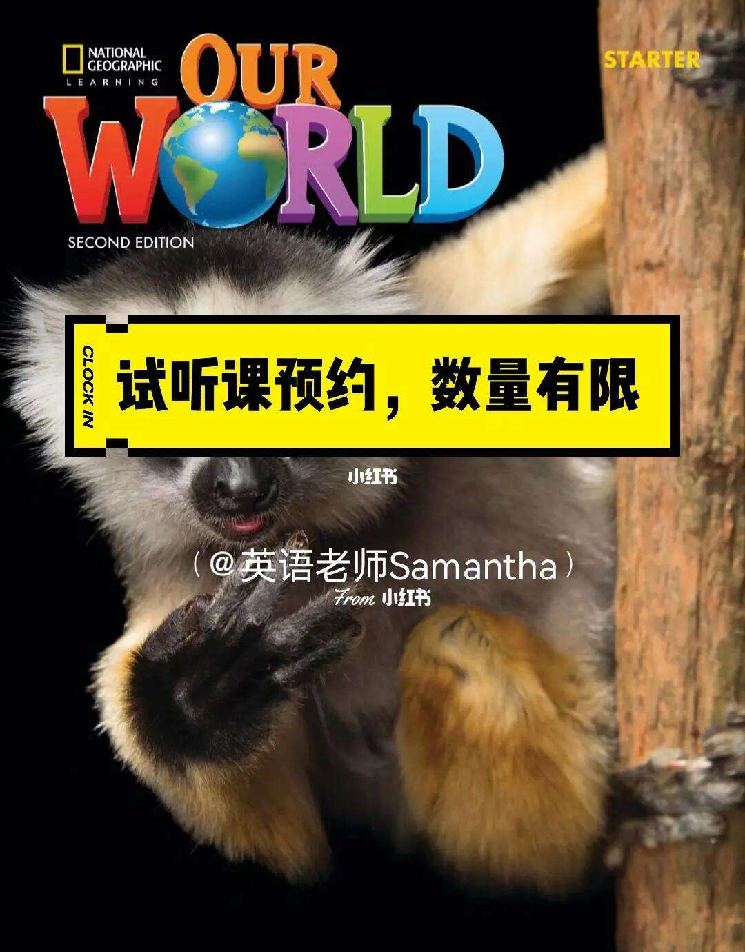 ourworld安卓客户端ourworldindata官网网址