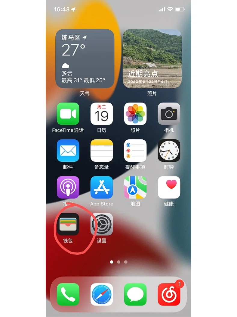 西瓜爱苹果版下载苹果完整版西瓜影院