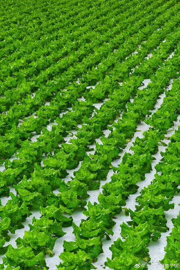 土豆客户端手机4.0potato土豆官网入口-第2张图片-太平洋在线下载