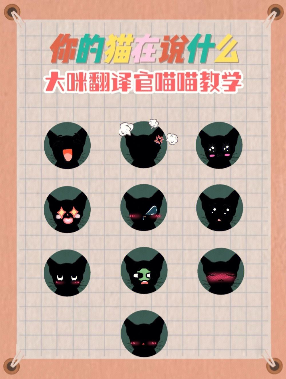 译猫安卓版译言网官网入口