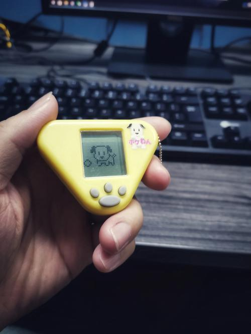 电子狗下载手机版车载电子狗下载最新版