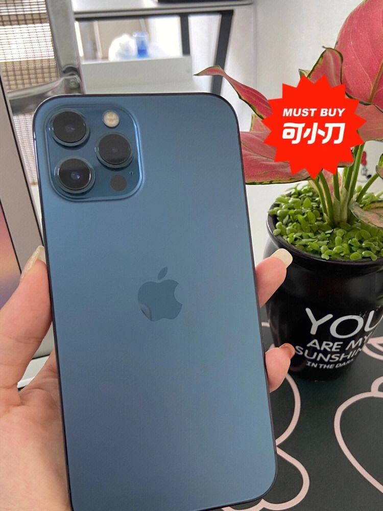 海政通苹果版苹果手机下载不了海政通怎么回事