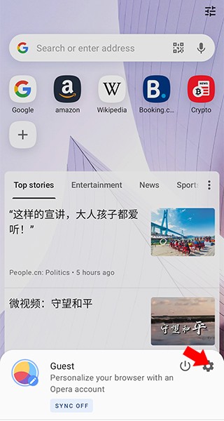 英文版浏览器手机手机浏览器下载安装-第2张图片-太平洋在线下载