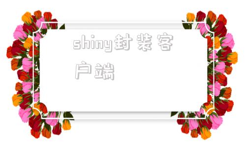 shiny封装客户端shiny是什么牌子气体报警