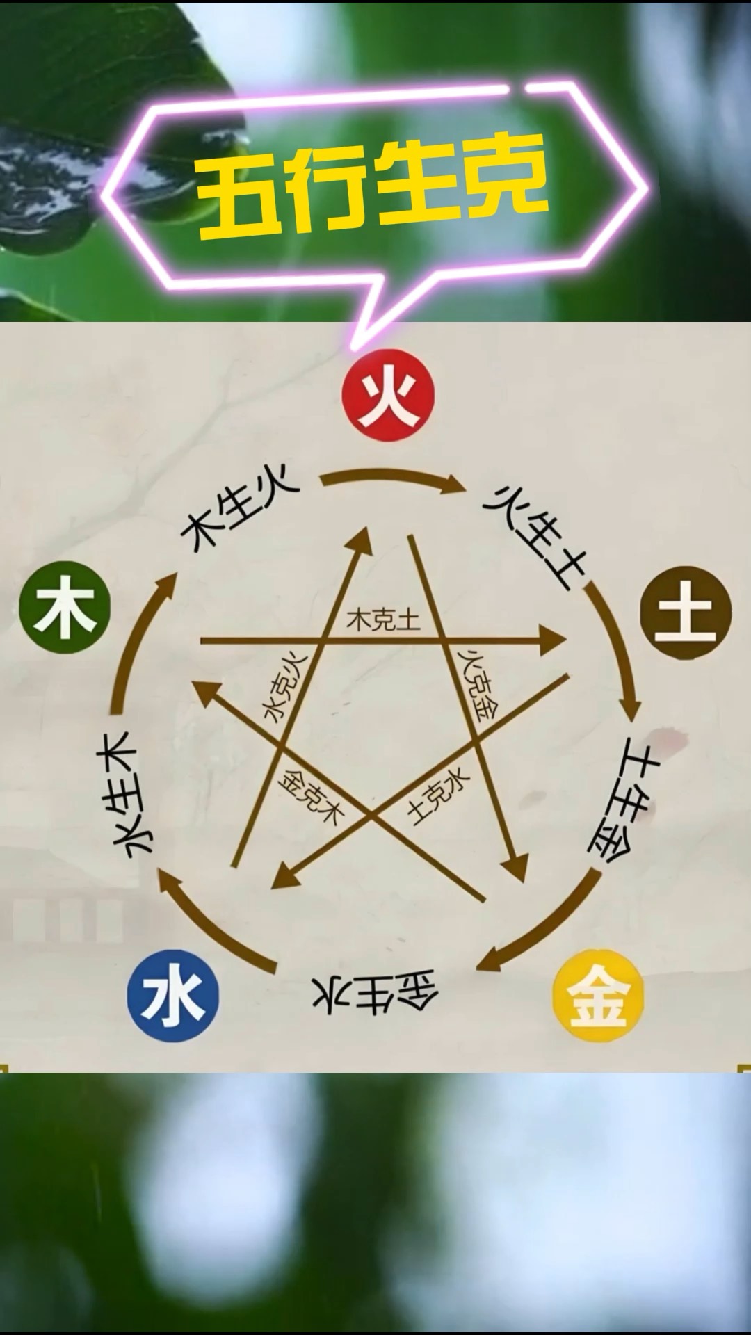 五行生克手机版小说网贺总你家萌宝五行缺钱上线啦-第2张图片-太平洋在线下载